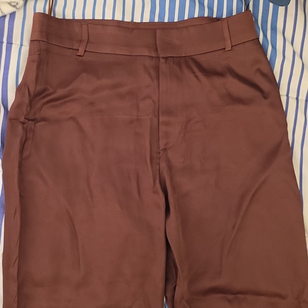 ZARA Silky Brown Pants TALL 33' inseam NWT - Picture 9 of 10